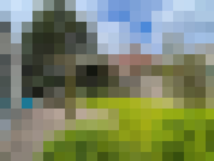 Image 32