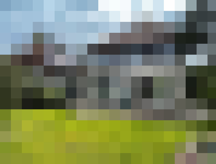 Image 29