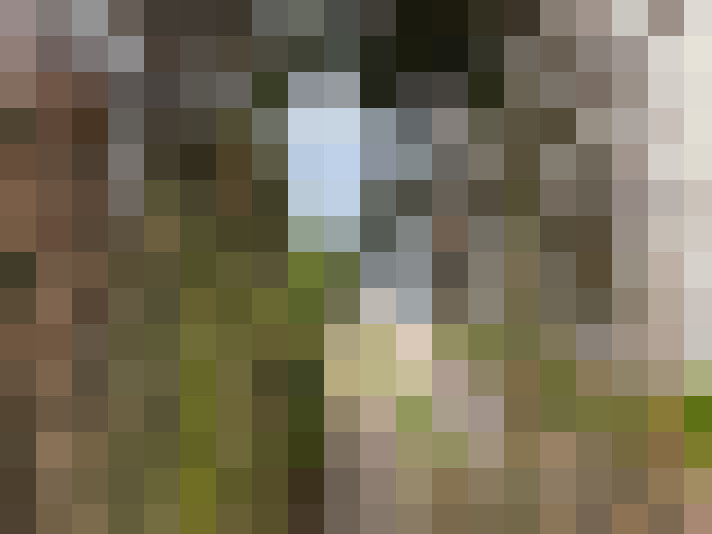 Image 35