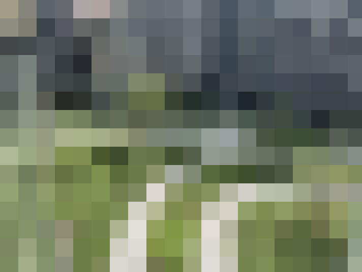 Image 25