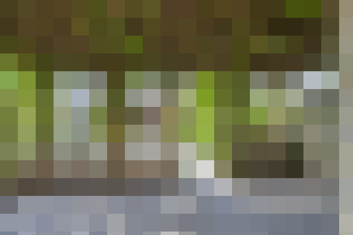 Image 14