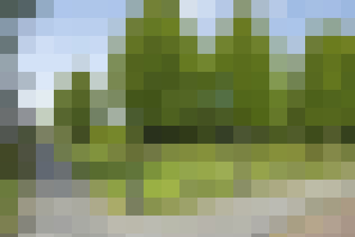 Image 37