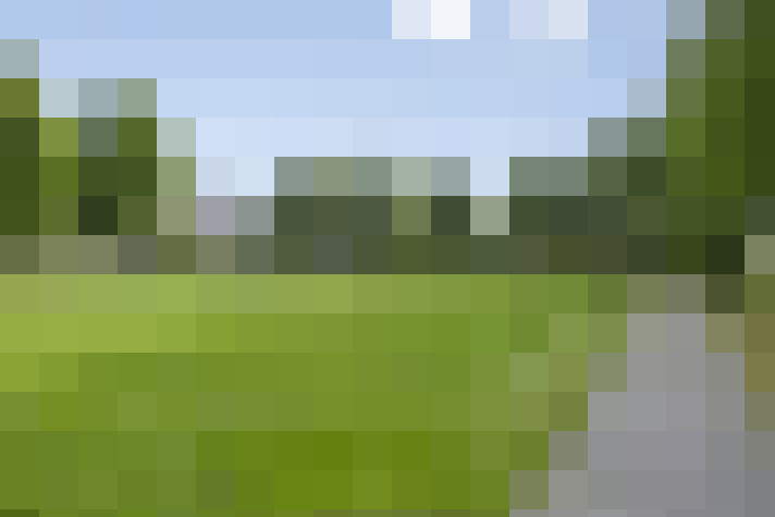 Image 35