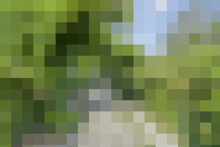 Image 34