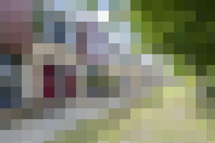 Image 31
