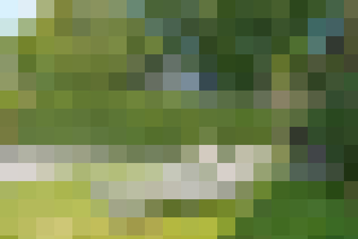 Image 14