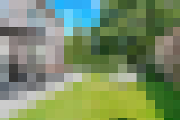 Image 15