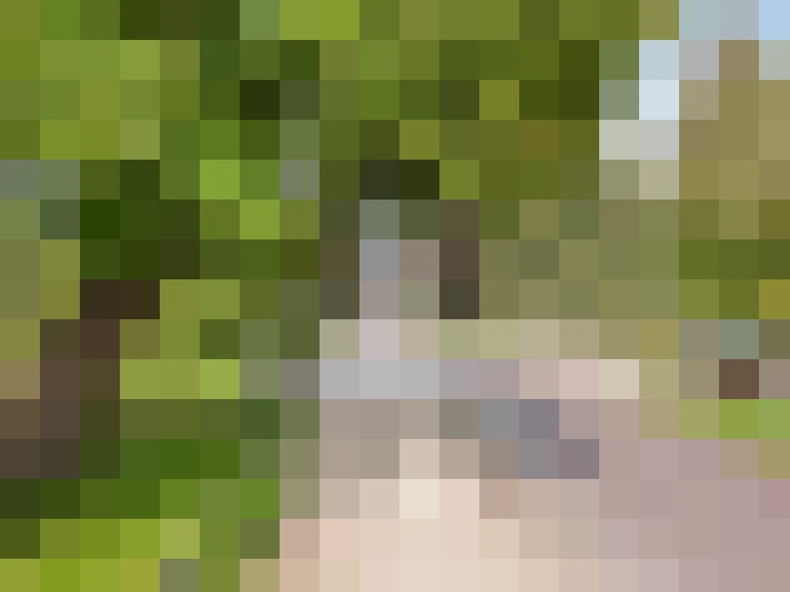 Image 20