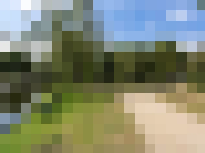 Image 18
