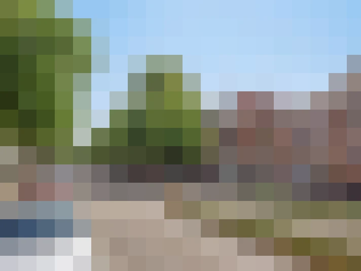 Image 23