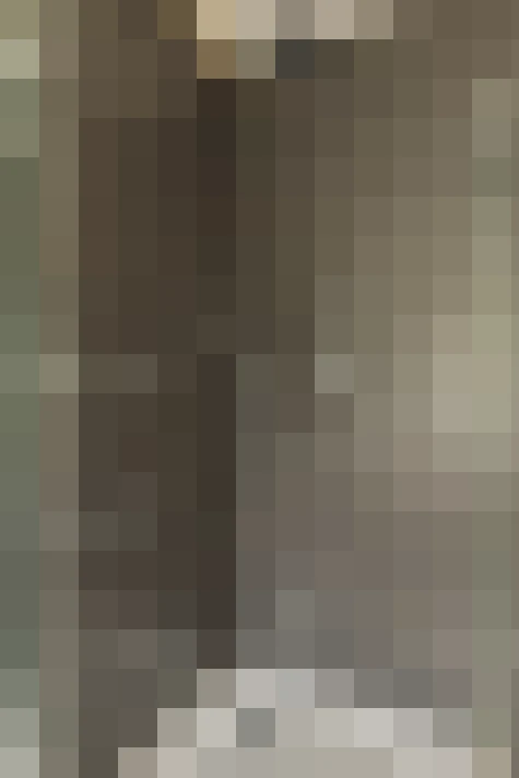 Image 31