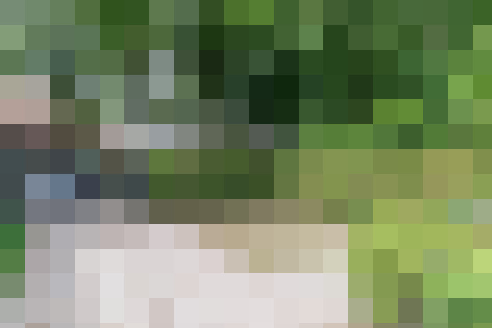 Image 20