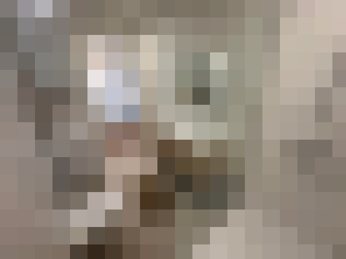 Image 13
