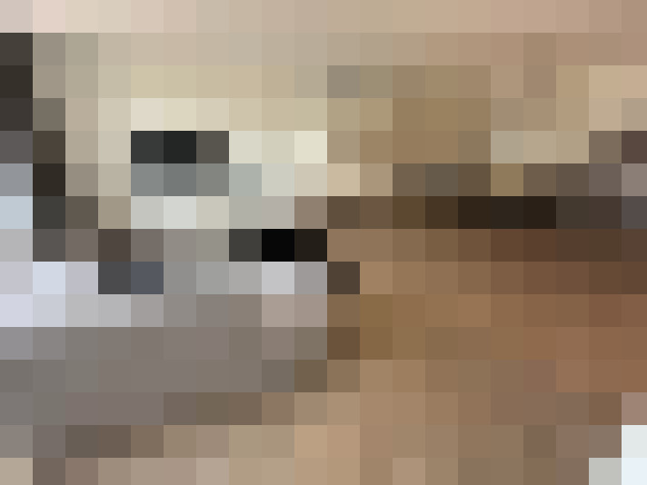 Image 17