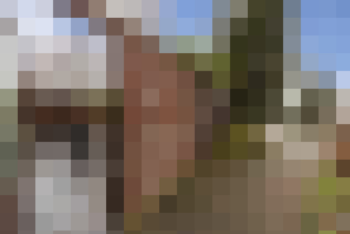 Image 33