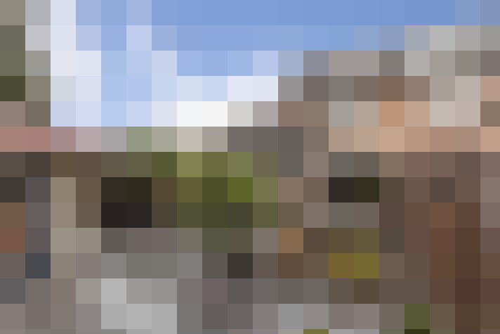 Image 31