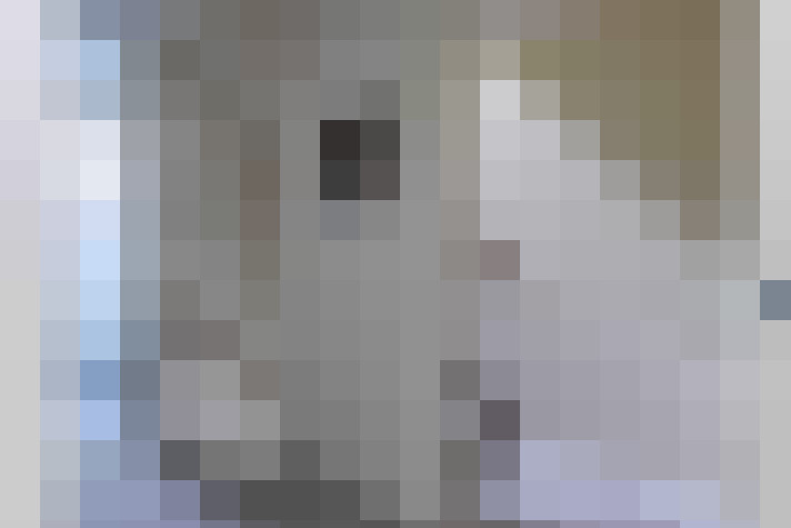 Image 23