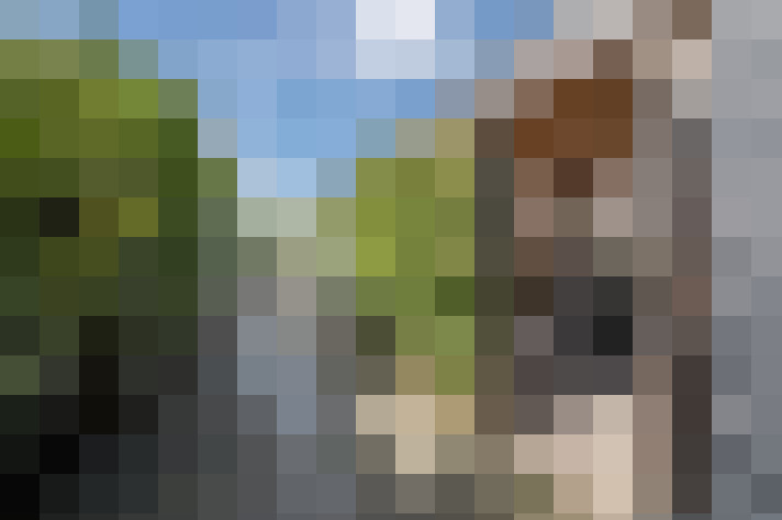 Image 54
