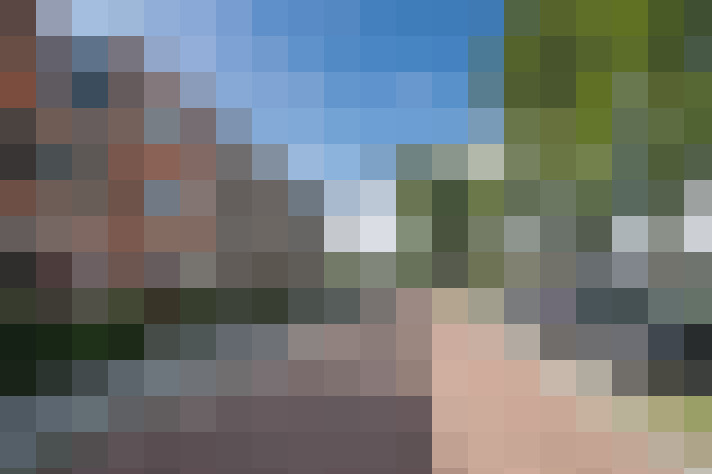 Image 31