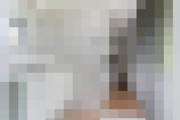 Image 29