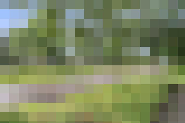 Image 44