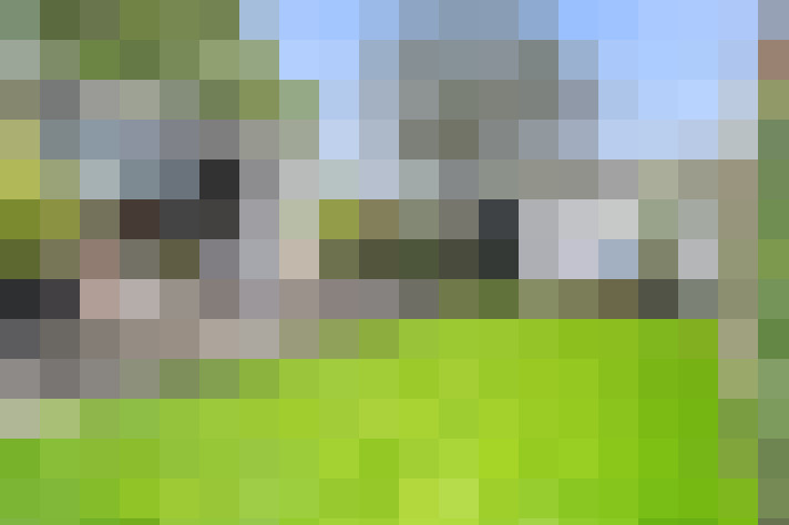 Image 35