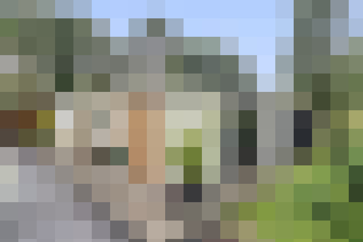 Image 46