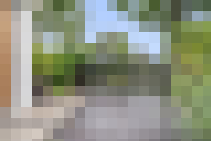 Image 42