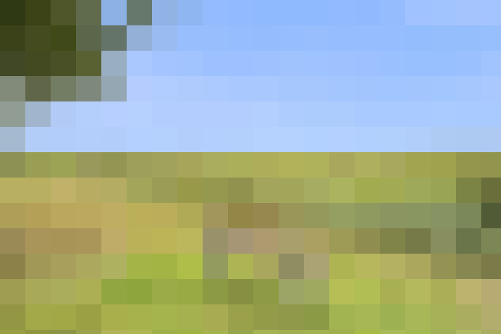 Image 45