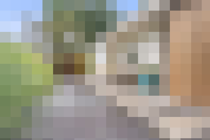 Image 41