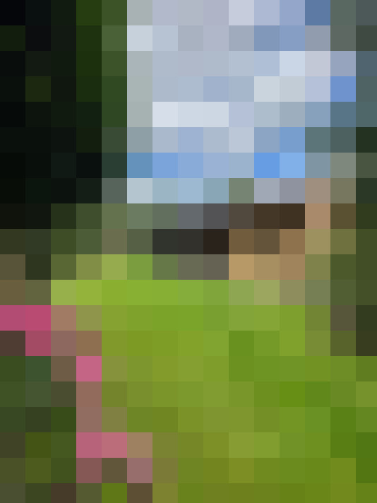 Image 20