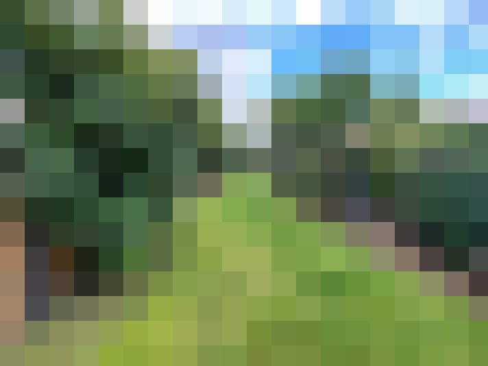 Image 18