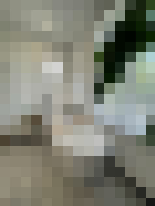 Image 14