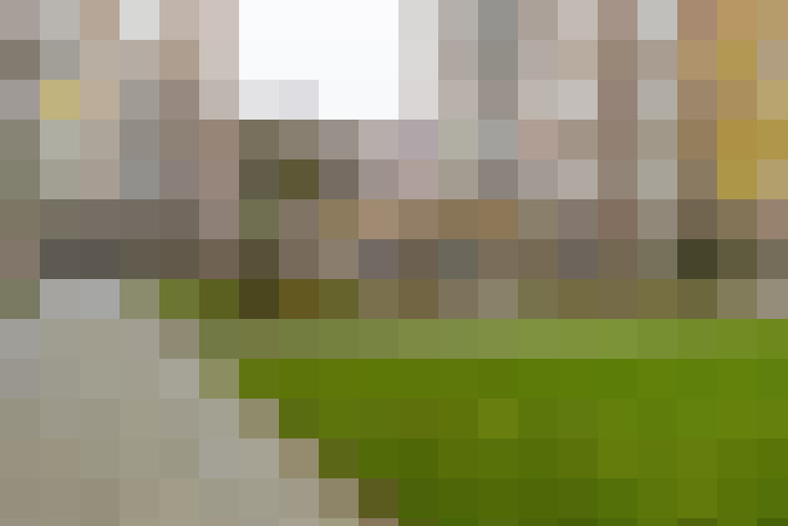 Image 20