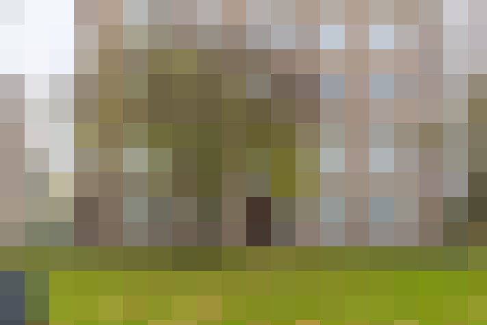 Image 24