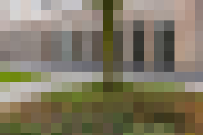 Image 22