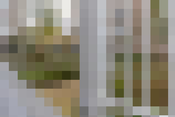 Image 23