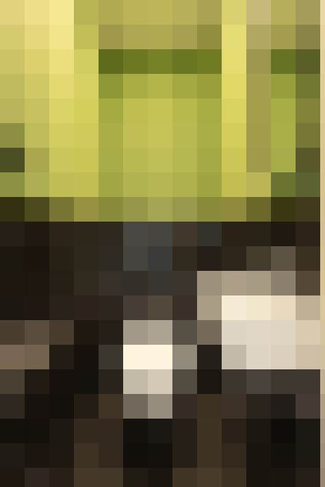 Image 22