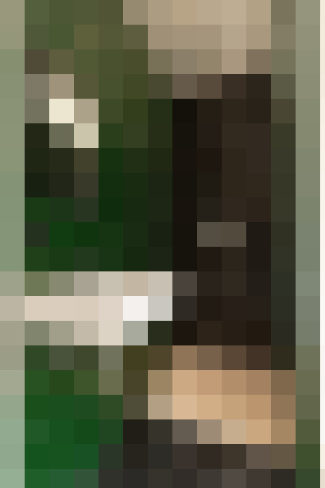 Image 25