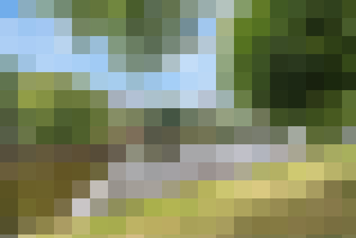 Image 37
