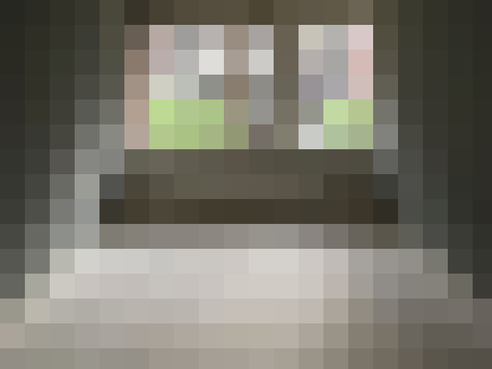  / #21