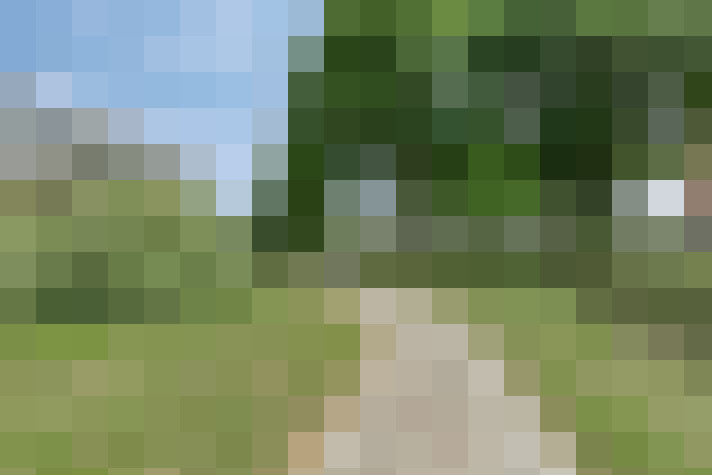 Image 31