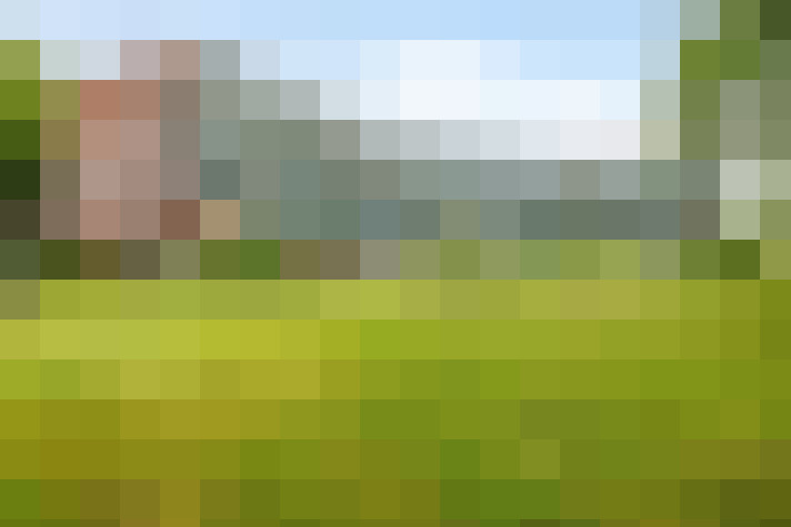 Image 29