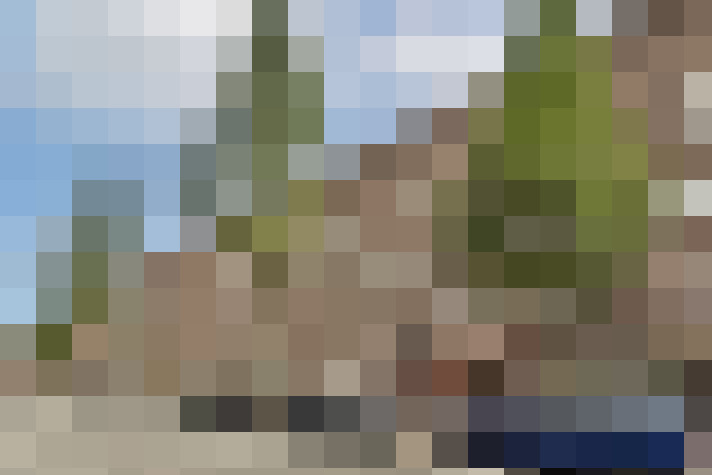 Image 31