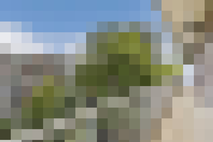 Image 17