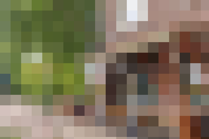 Image 35