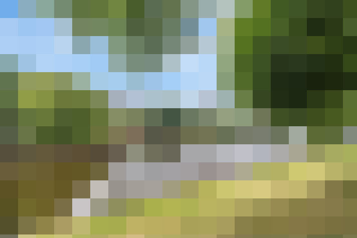 Image 36