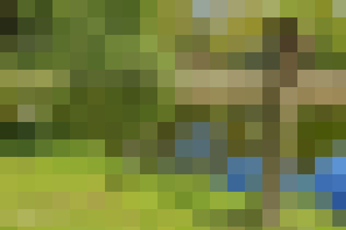 Image 49