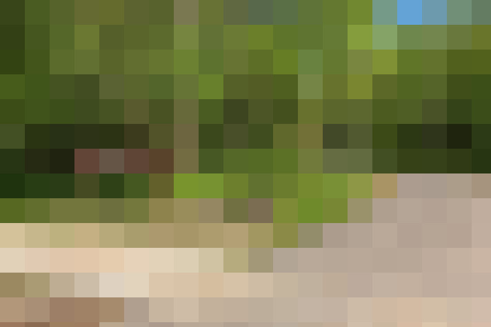 Image 47