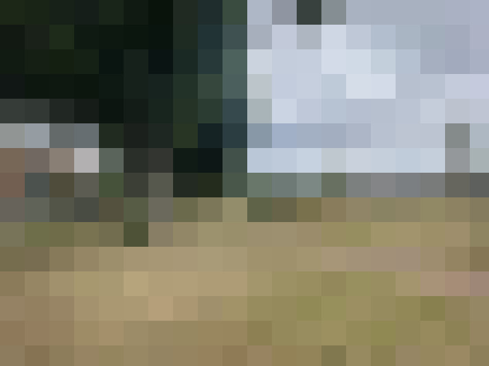 Image 30